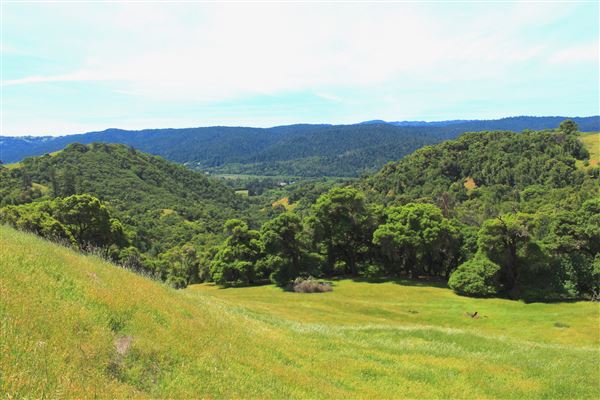 Peachland Road - Anderson Valley region- North East of Boonville, scenic view as seen from road (5/15/2018 - Credits: Kellen Lim)