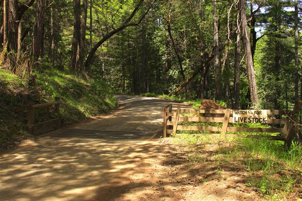 Peachland Road - Anderson Valley region- North East of Boonville (not a gate) (5/15/2018 - Credits: Kellen Lim)