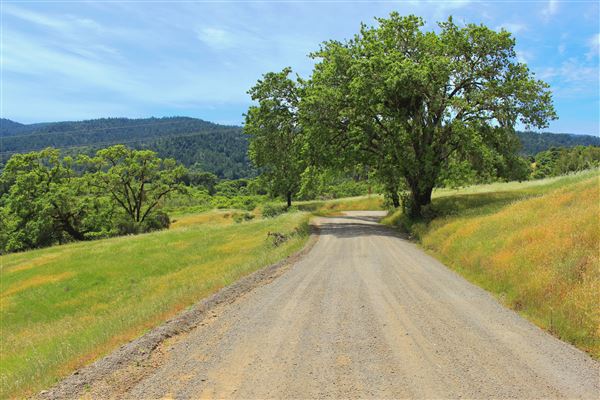 Peachland Road - Anderson Valley region- North East of Boonville, reverse shot (5/15/2018 - Credits: Kellen Lim)
