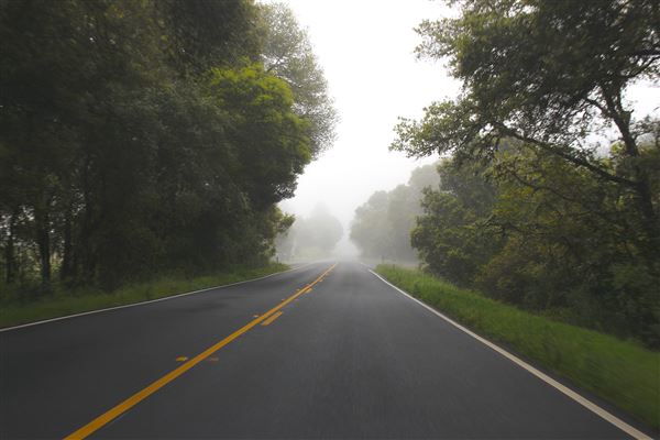 Highway 128 - Anderson Valley corridor - Highway 128 - North of Philo (looking southward) (4/14/2017 - Credits: Kellen Lim)