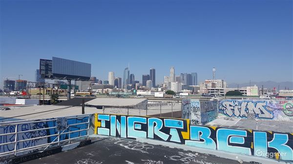 Rooftop View of Downtown LA (1/1/2017)