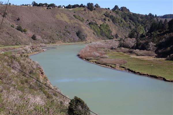Navarro River - located in Hendy Woods State Park (SP) (3/2/2017 - Credits: Kellen Lim)