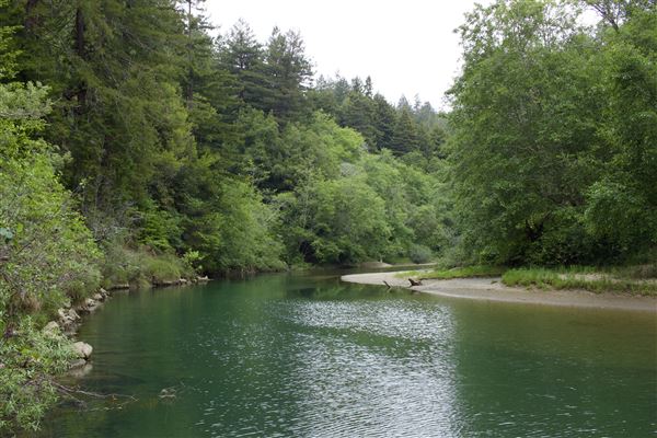 Navarro River - located in Hendy Woods State Park (SP) (5/22/2018 - Credits: Kellen Lim)