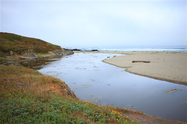 Haul Road Coastal Trail (MacKerricher State Park) (7/16/2018 - Credits: Kellen Lim)