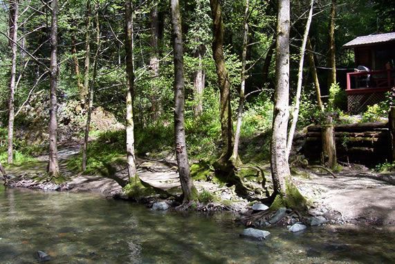 Alliance Redwoods Conference Grounds (7/25/2018)