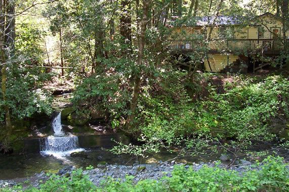 Alliance Redwoods Conference Grounds (7/25/2018)