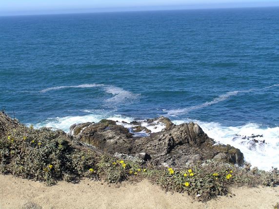Bodega Bay Coast (7/25/2018)