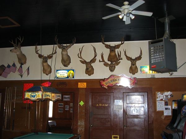 The Casino Bar & Grill (7/25/2018)