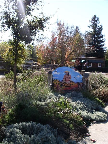 Cotati (7/25/2018)