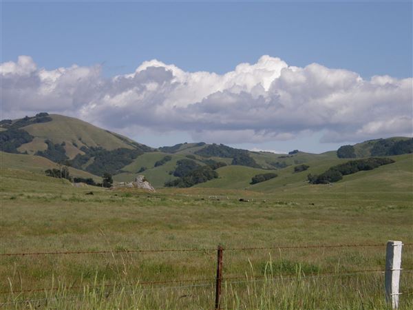 J G Angus Ranch (7/25/2018)