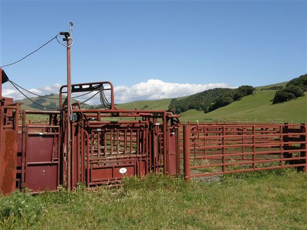 J G Angus Ranch (7/25/2018)