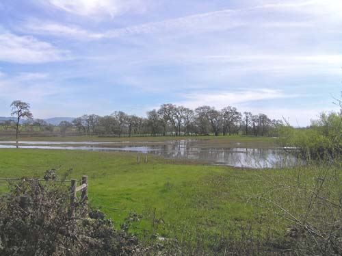 Laguna de Santa Rosa Trail (7/25/2018)