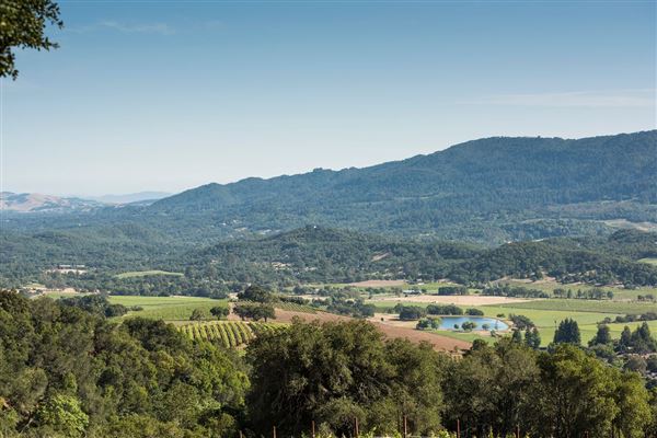 Kunde Family Winery (7/25/2018)