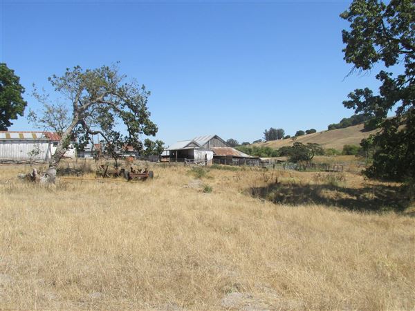 Maffia Dairy Ranch (7/25/2018)