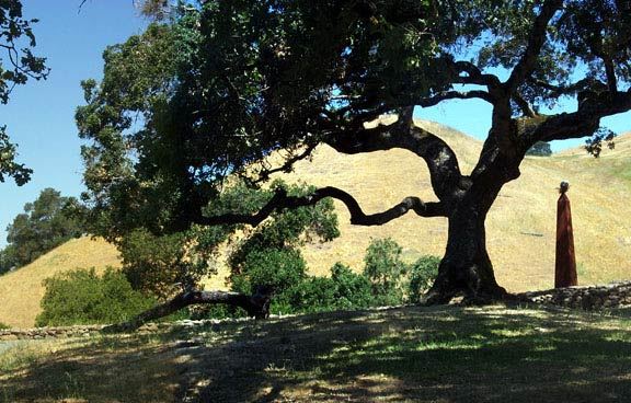 Paradise Ridge Winery (7/25/2018)