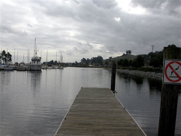 Petaluma (7/25/2018)