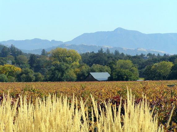 Quivira Vineyards (7/25/2018)