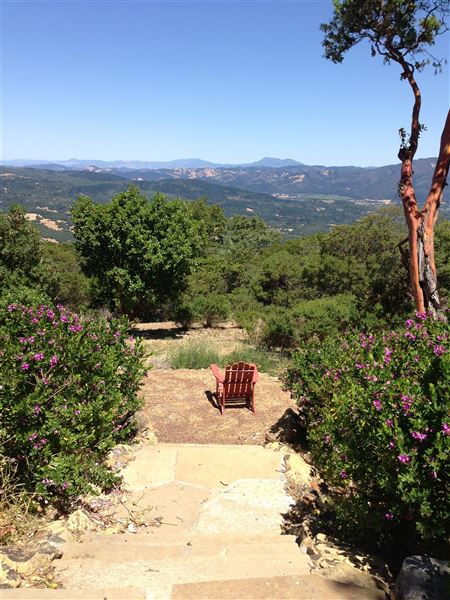 Sonoma Mountain Vista Estate (7/25/2018)