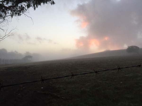 Spring Hill Estate (7/25/2018)