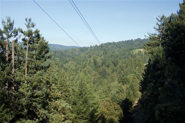 Greenwood Road - Greenwood Road/132 County Road, parcial view of forest from road (more scenic views than this one can be found along the ridge) (7/30/2018 - Credits: Kellen Lim)