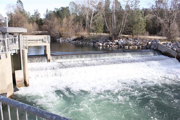 Coleman National Fish Hatchery (7/1/2018 - Credits: Film Shasta)