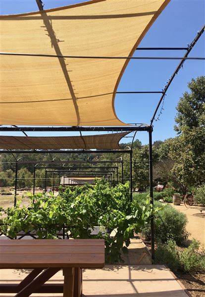 Old Creek Ranch Winery (8/1/2018 - Credits: Jane Holguin)