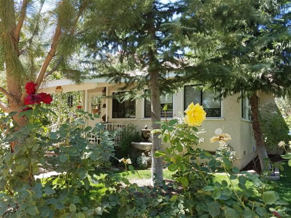 Freedom Ranch - Shadowlands Foundation - Wolves in California (1/7/2019)