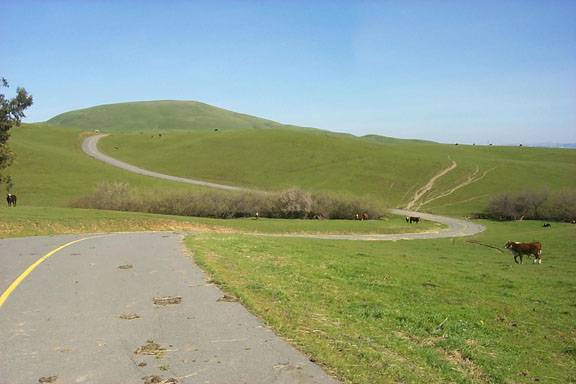 Cougar Mountain Drive (12/31/2003)