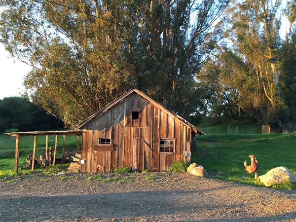 Bees Rock Ranch (5/22/2019)