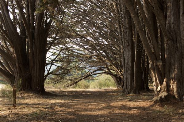 Belinda Point Public Access Trail (11/13/2018 - Credits: Kellen Lim)