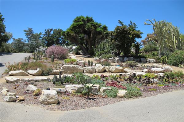 South Coast Botanic Garden (6/1/2019 - Credits: LocoScout)