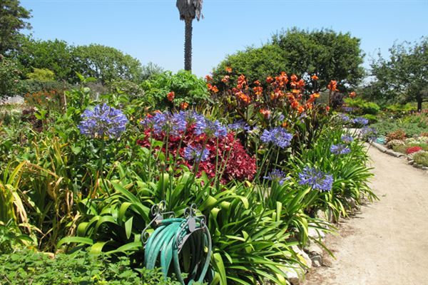 South Coast Botanic Garden (6/1/2019 - Credits: LocoScout)