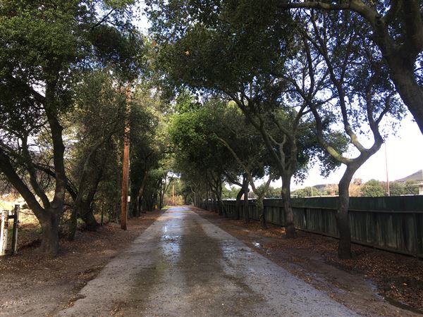 San Benito County Fairgrounds at Bolado Park Event Center - 33rd DAA (6/1/2019 - Credits: San Benito County Fairgrounds)
