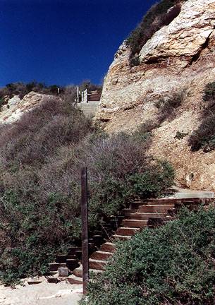 Crystal Cove State Park (SP) (12/31/2003)