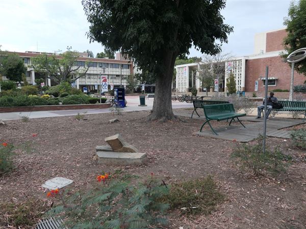 Los Angeles City College - LACC (12/10/2019 - Credits: LocoScout)