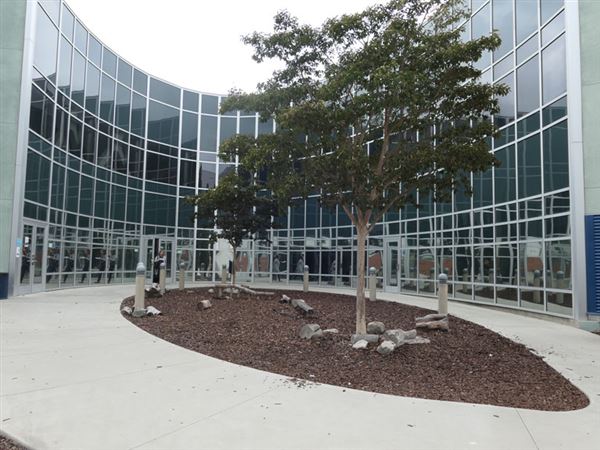 Los Angeles City College - LACC (12/10/2019 - Credits: LocoScout)
