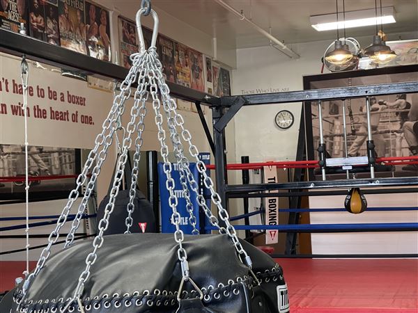 Boxing on the Boulevard (2/8/2021 - Credits: @itsratedjay)