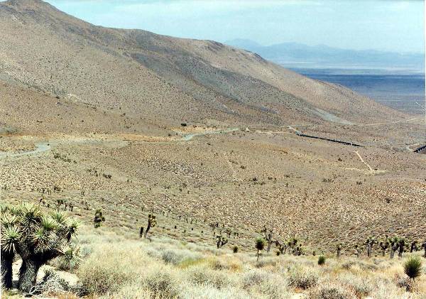 9 Mile Canyon Road (12/31/2003)