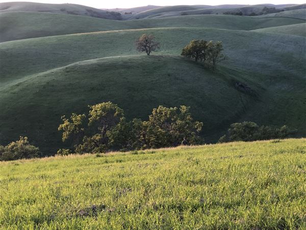 Enney Ranch @ Paso Robles (1/4/2021 - Credits: Courtney Delancey)