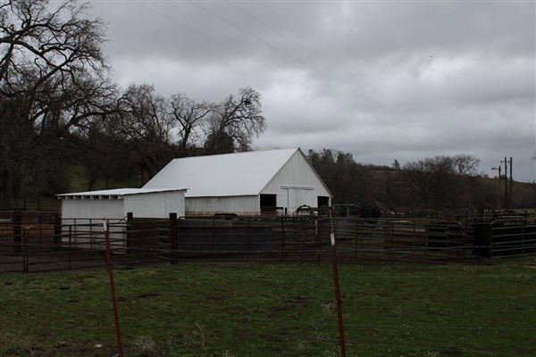 Payne's Creek (3/1/2022 - Credits: Film Tehama)