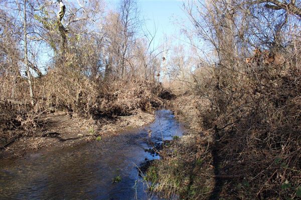 Cone Grove Park (3/1/2022 - Credits: Film Tehama)