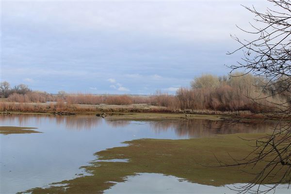 Sacramento River Bend (3/1/2022 - Credits: Film Tehama)
