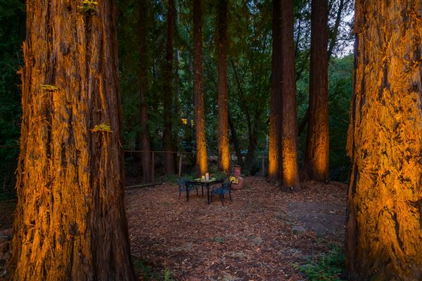 Los Arboles (9/30/2021 - Credits: Kurt Lai)