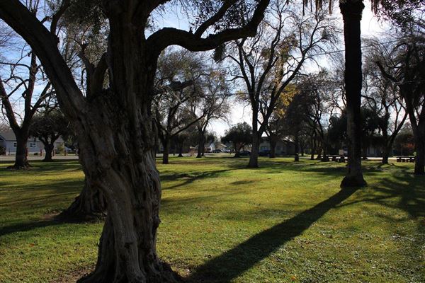 Woodson Park (3/1/2022 - Credits: Film Tehama)