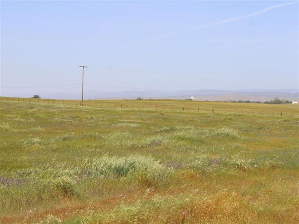 Wheatland (4/11/2022 - Credits: Yuba Sutter Film Commission)