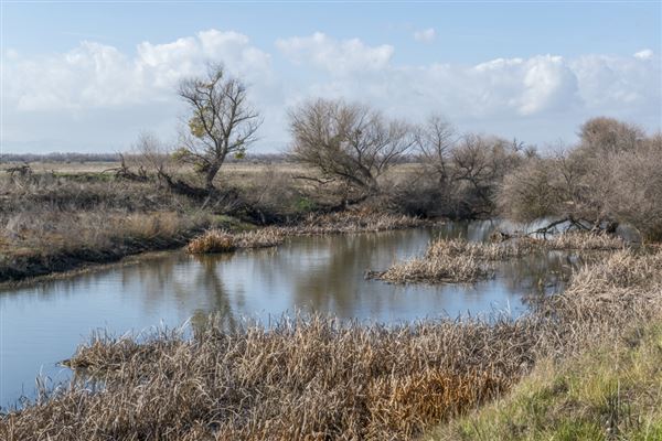 Great Valley Grasslands State Park (SP) (1/13/2016 - Credits: Brian Baer)