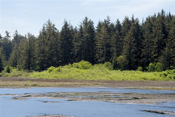 Harry A. Merlo State Recreation Area (SRA) (4/16/2014 - Credits: Brian Baer)