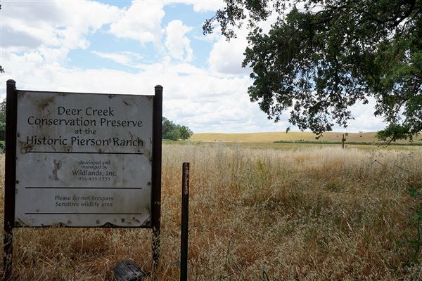 Various Rural Farms And Ranches (8/9/2022)