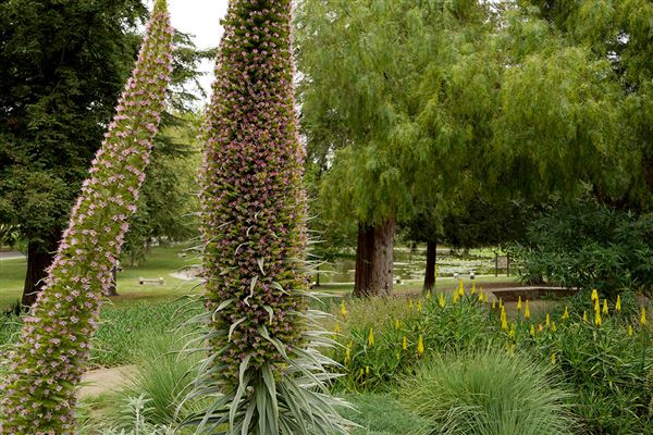 William Land Regional Park (10/11/2018)