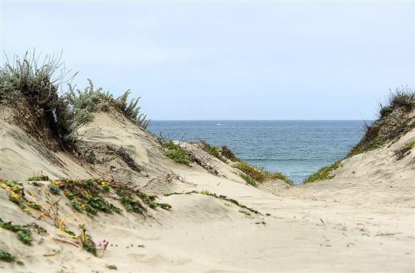 Zmudowski State Beach (SB) (6/6/2014 - Credits: Brian Baer)
